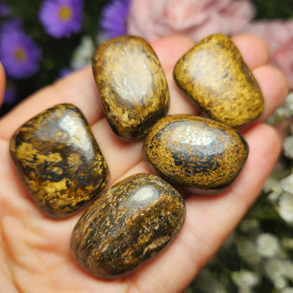 Bronzite Crystal (1"+), Polished Bronzite Tumble