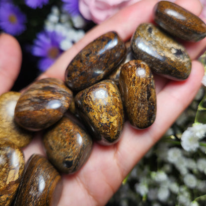 Bronzite Crystal (1"+), Polished Bronzite Tumble