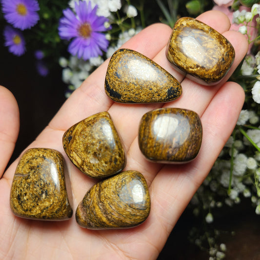 Bronzite Crystal (1"+), Polished Bronzite Tumble