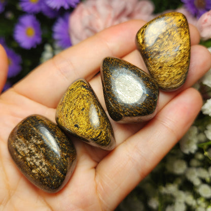 Bronzite Crystal (1"+), Polished Bronzite Tumble