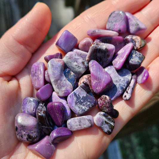AA Sugilite Specimen