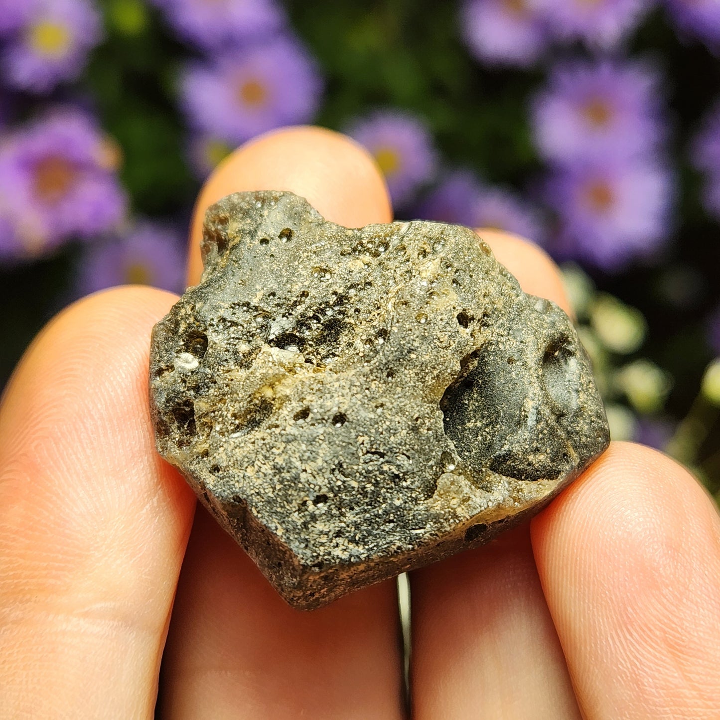 Darwinite Tektite