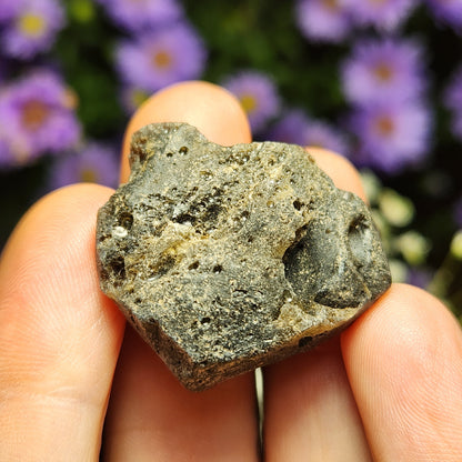 Darwinite Tektite