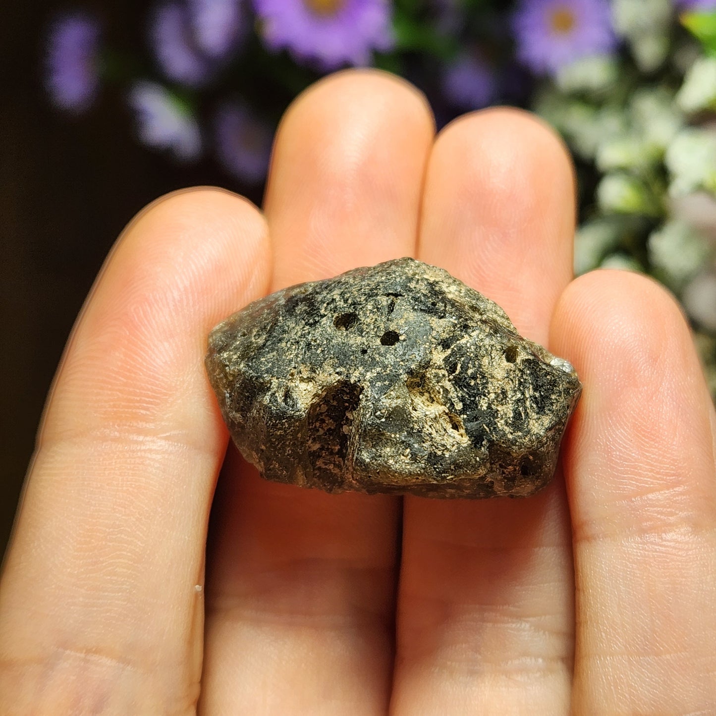 Darwinite Tektite