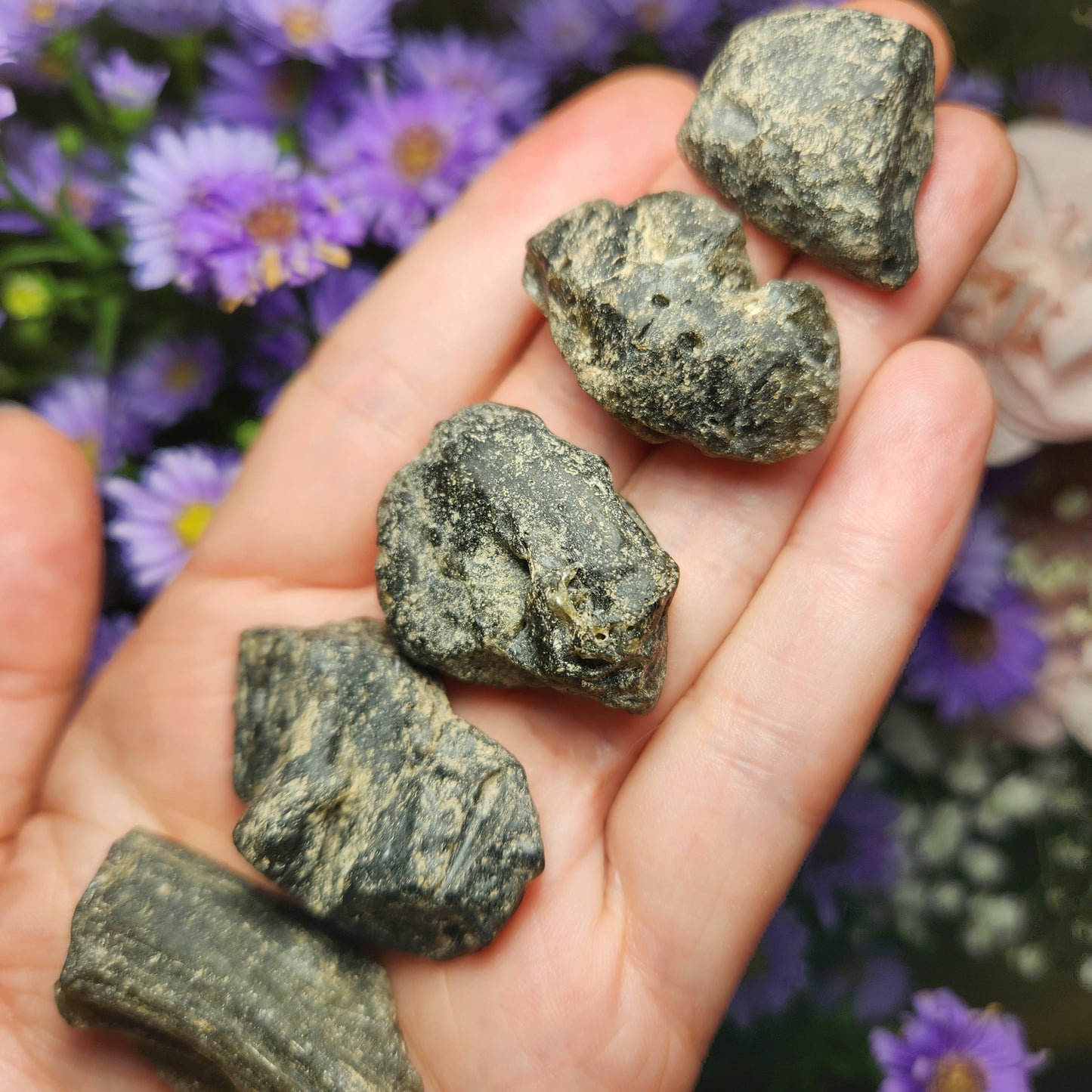 Darwinite Tektite