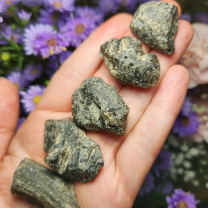 Darwinite Tektite