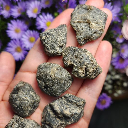 Darwinite Tektite