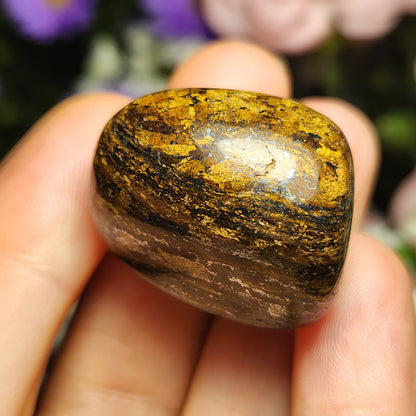 Bronzite Crystal (1"+), Polished Bronzite Tumble