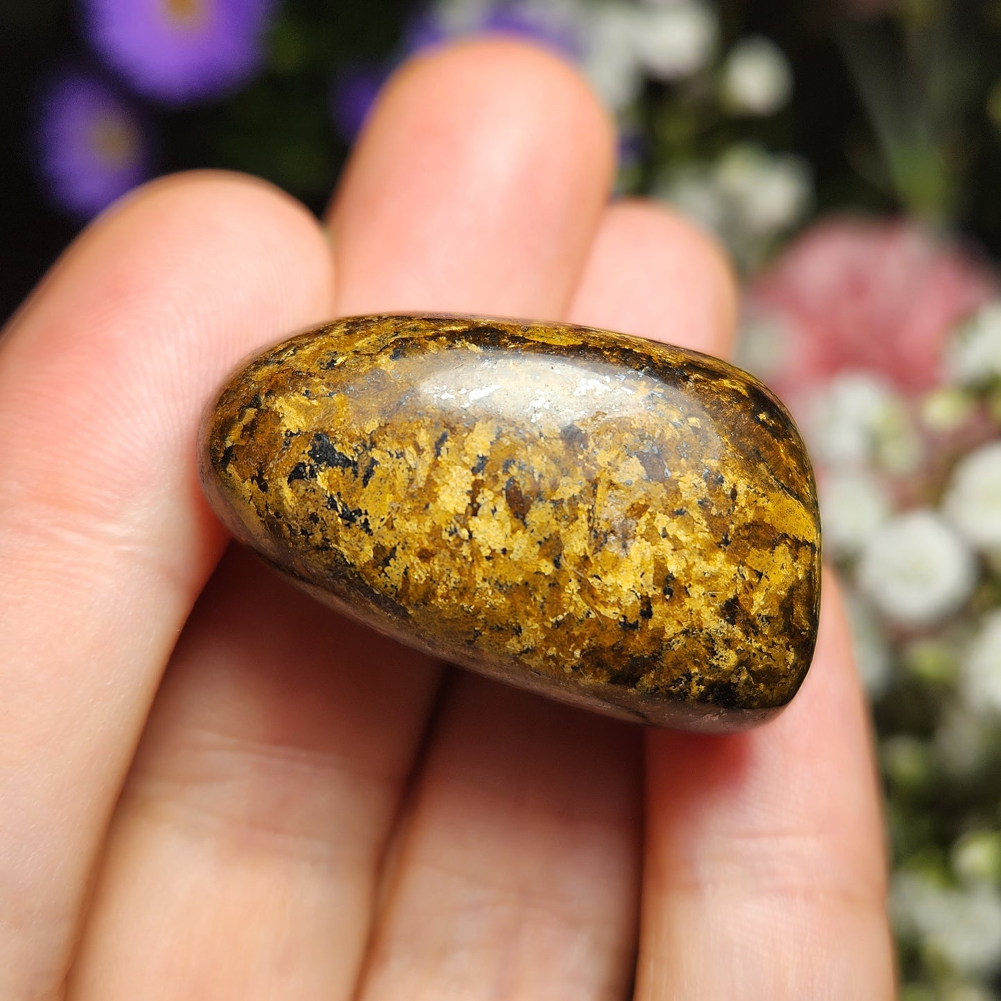 Bronzite Crystal (1"+), Polished Bronzite Tumble