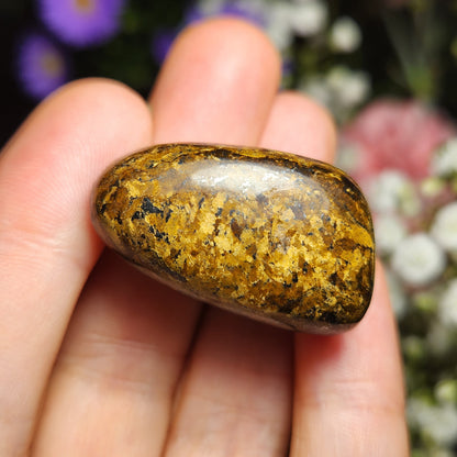 Bronzite Crystal (1"+), Polished Bronzite Tumble