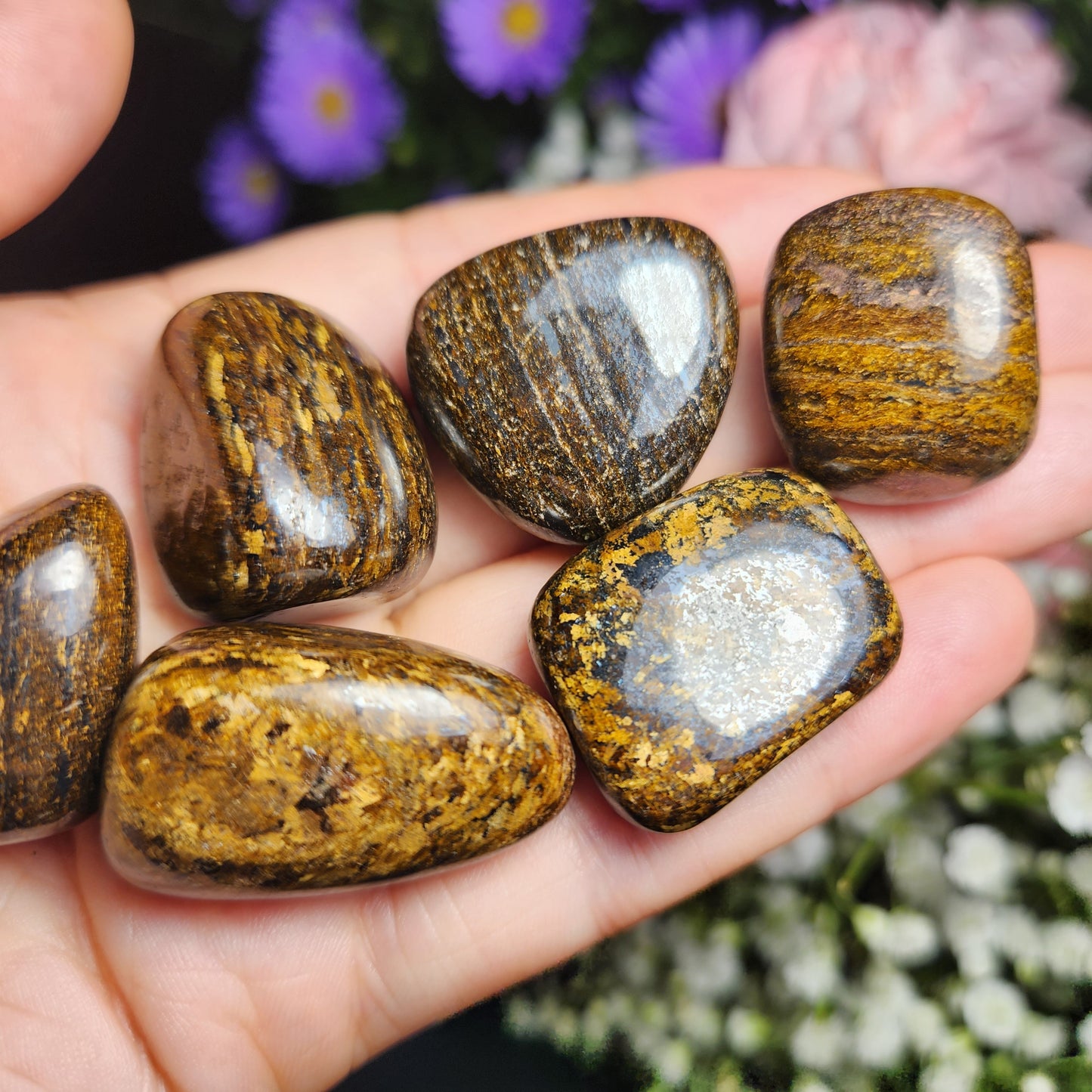 Bronzite Crystal (1"+), Polished Bronzite Tumble