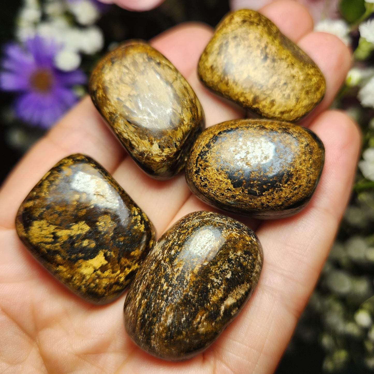 Bronzite Crystal (1"+), Polished Bronzite Tumble