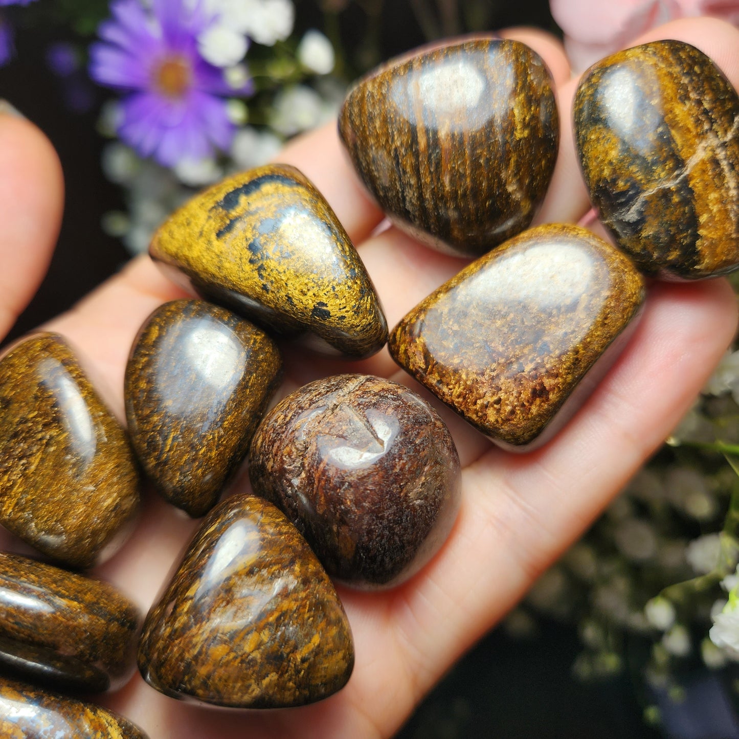 Bronzite Crystal (1"+), Polished Bronzite Tumble