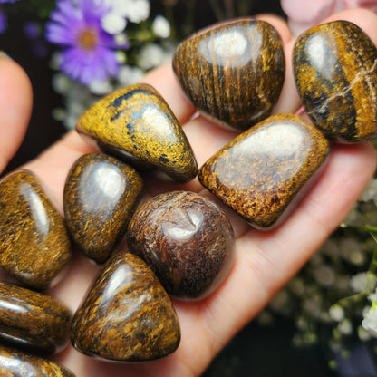 Bronzite Crystal (1"+), Polished Bronzite Tumble