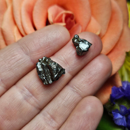 Campo Del Cielo Meteorite
