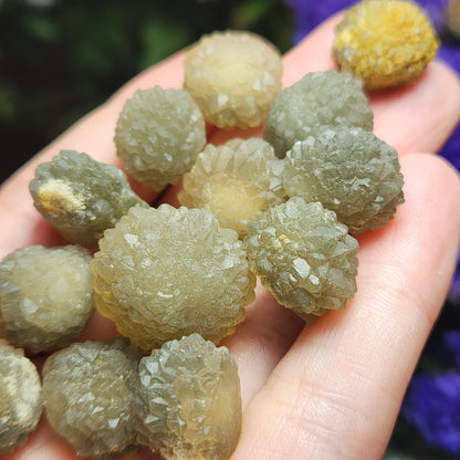 Star Chalcedony from Morocco