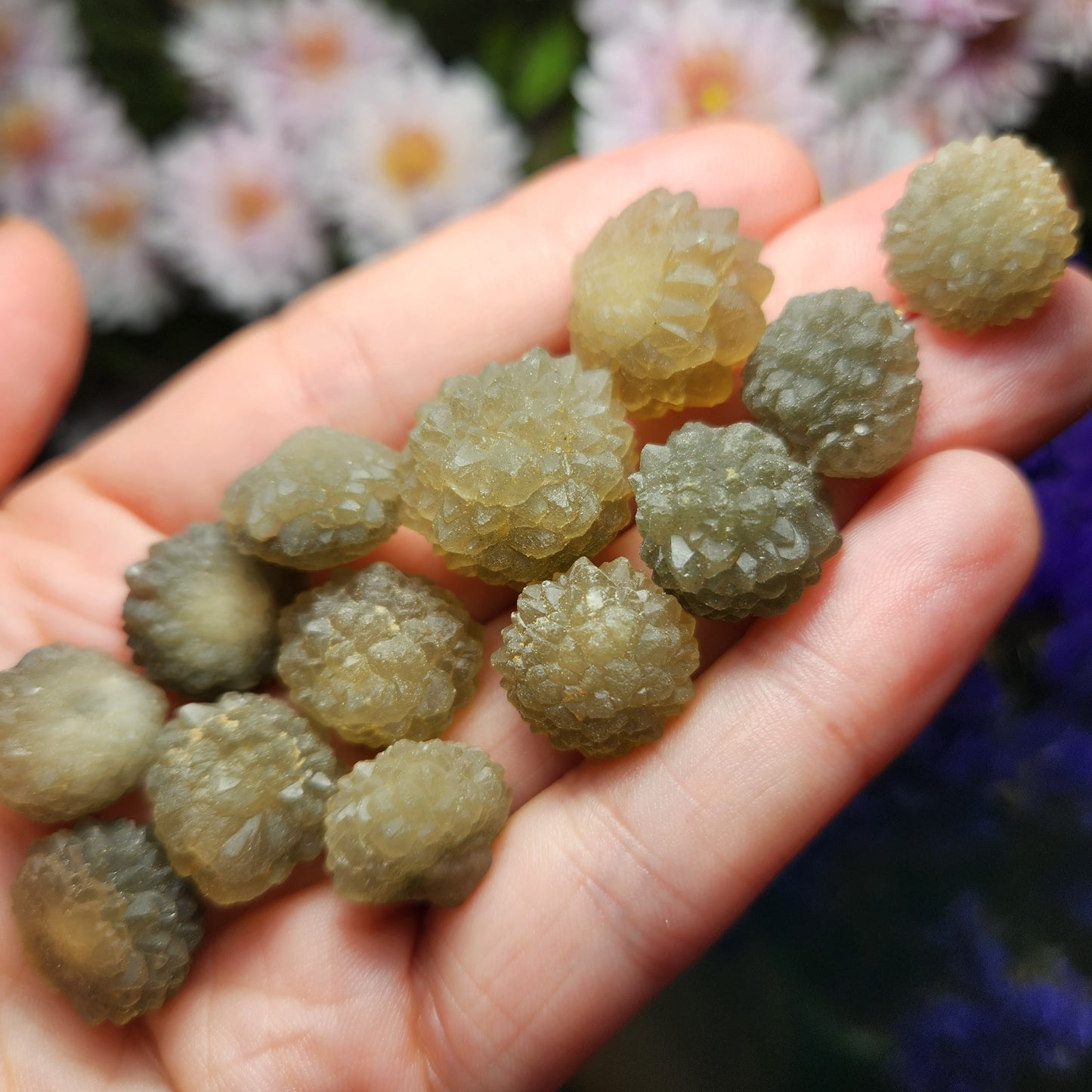 Star Chalcedony from Morocco