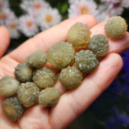 Star Chalcedony from Morocco