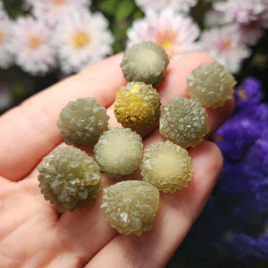 Star Chalcedony from Morocco