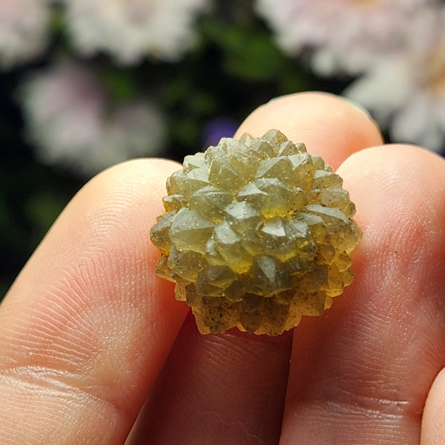 Star Chalcedony from Morocco