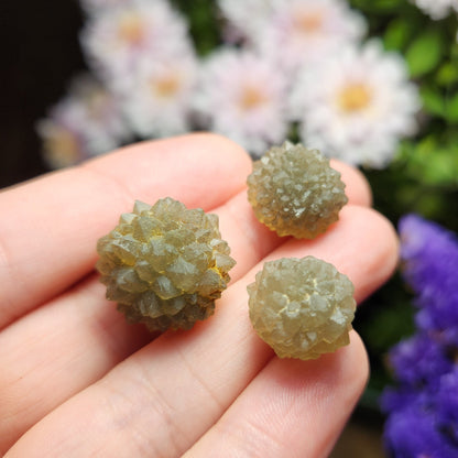 Star Chalcedony from Morocco