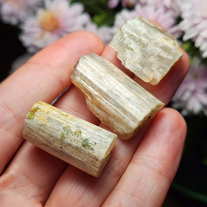 Cat's Eye Apatite Crystal