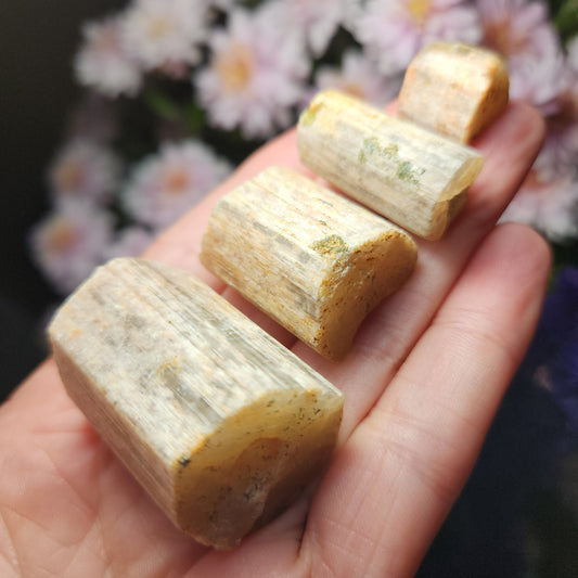 Cat's Eye Apatite Crystal