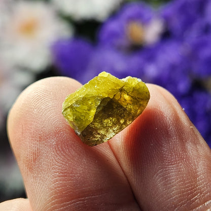 Titanite Crystal