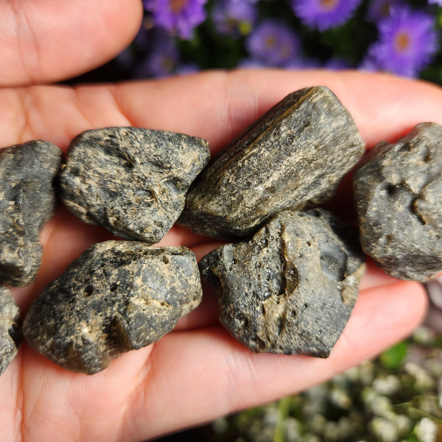 Darwinite Tektite