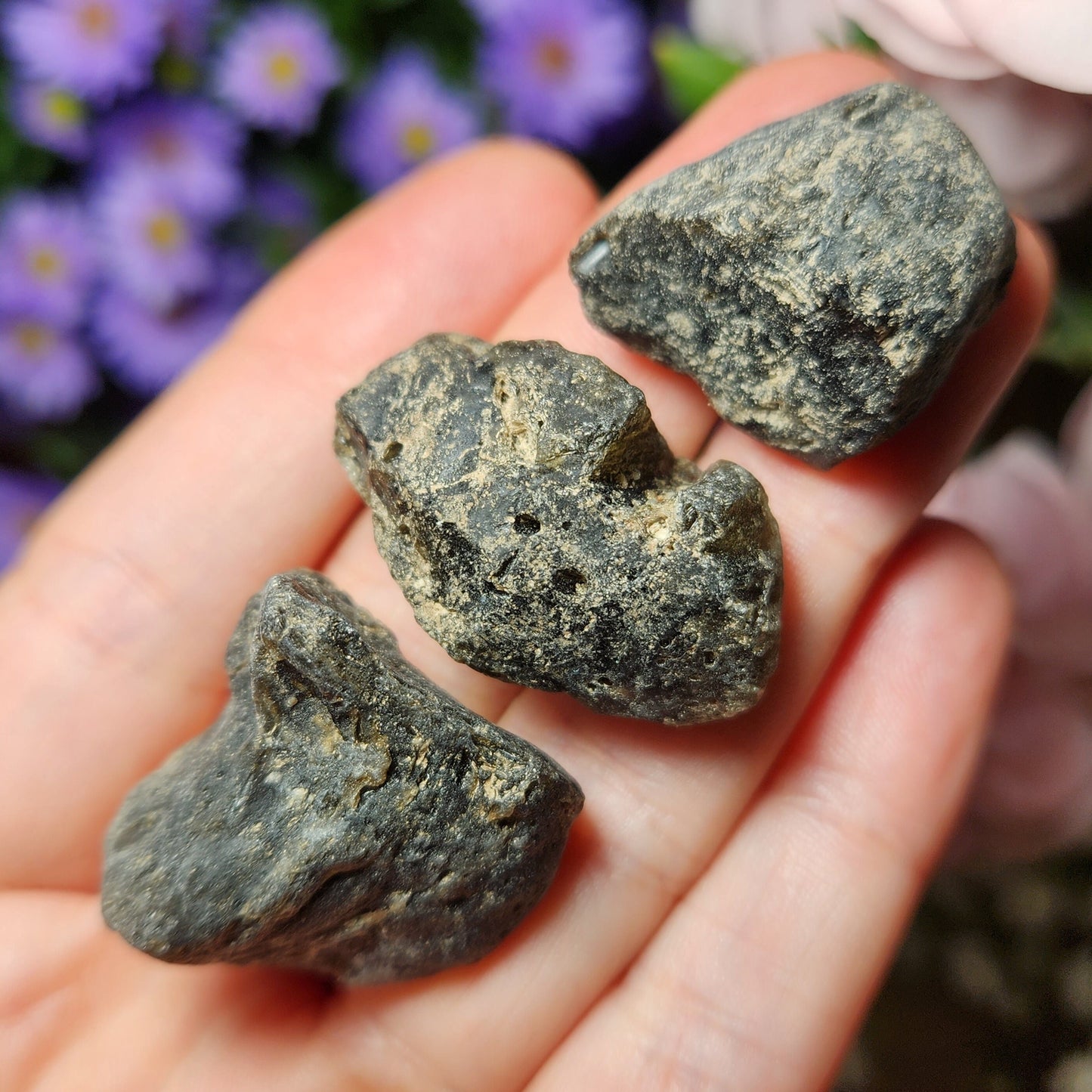 Darwinite Tektite
