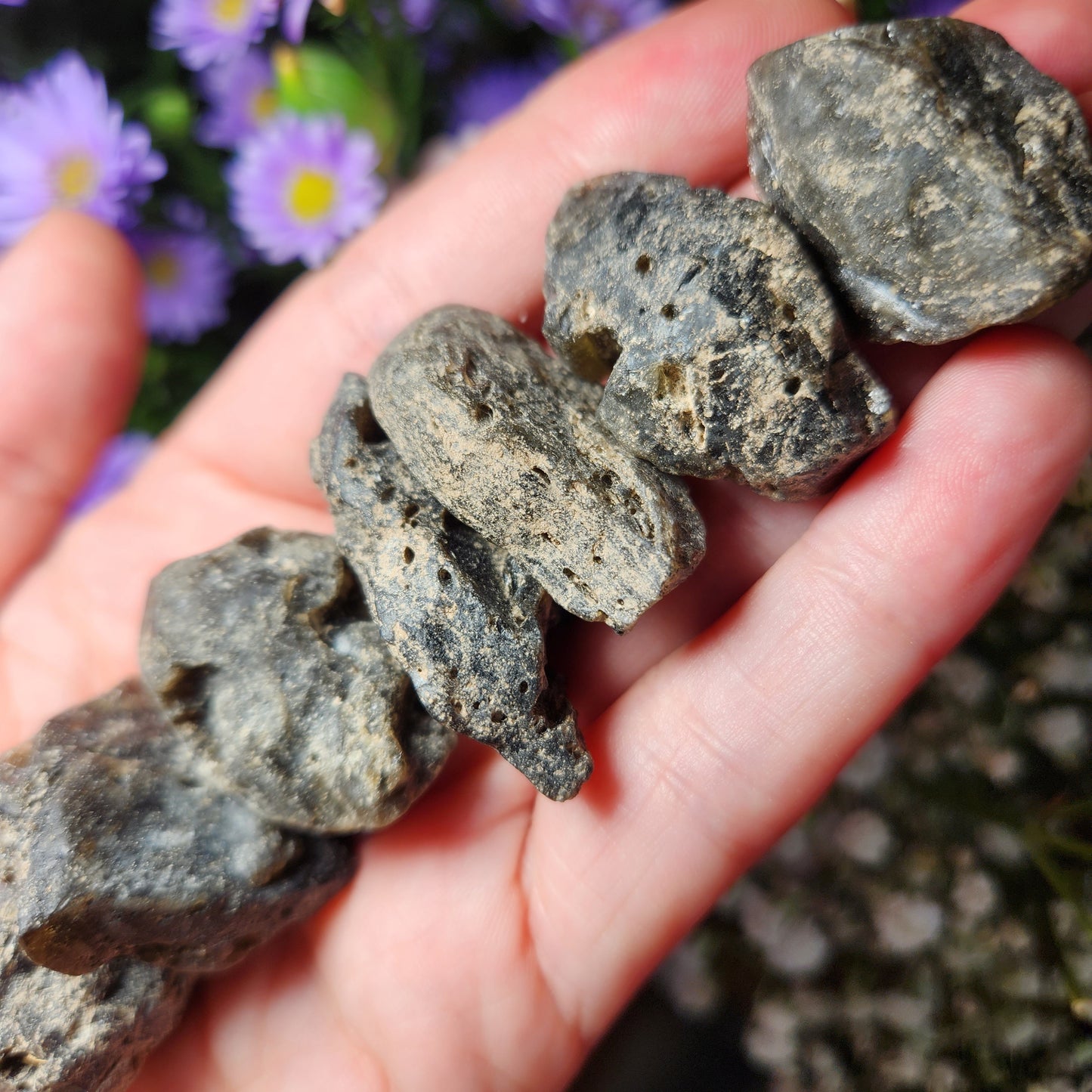 Darwinite Tektite