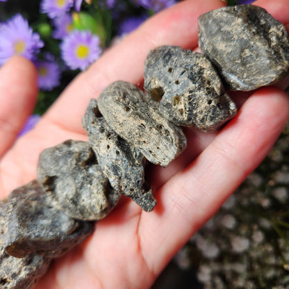 Darwinite Tektite