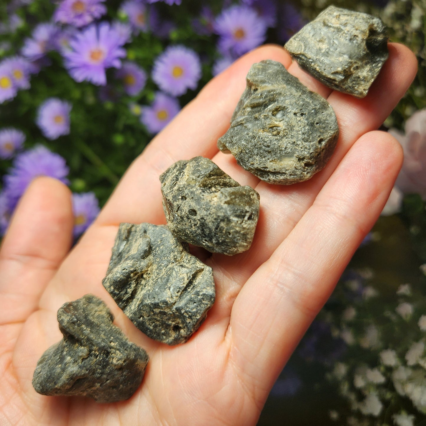 Darwinite Tektite