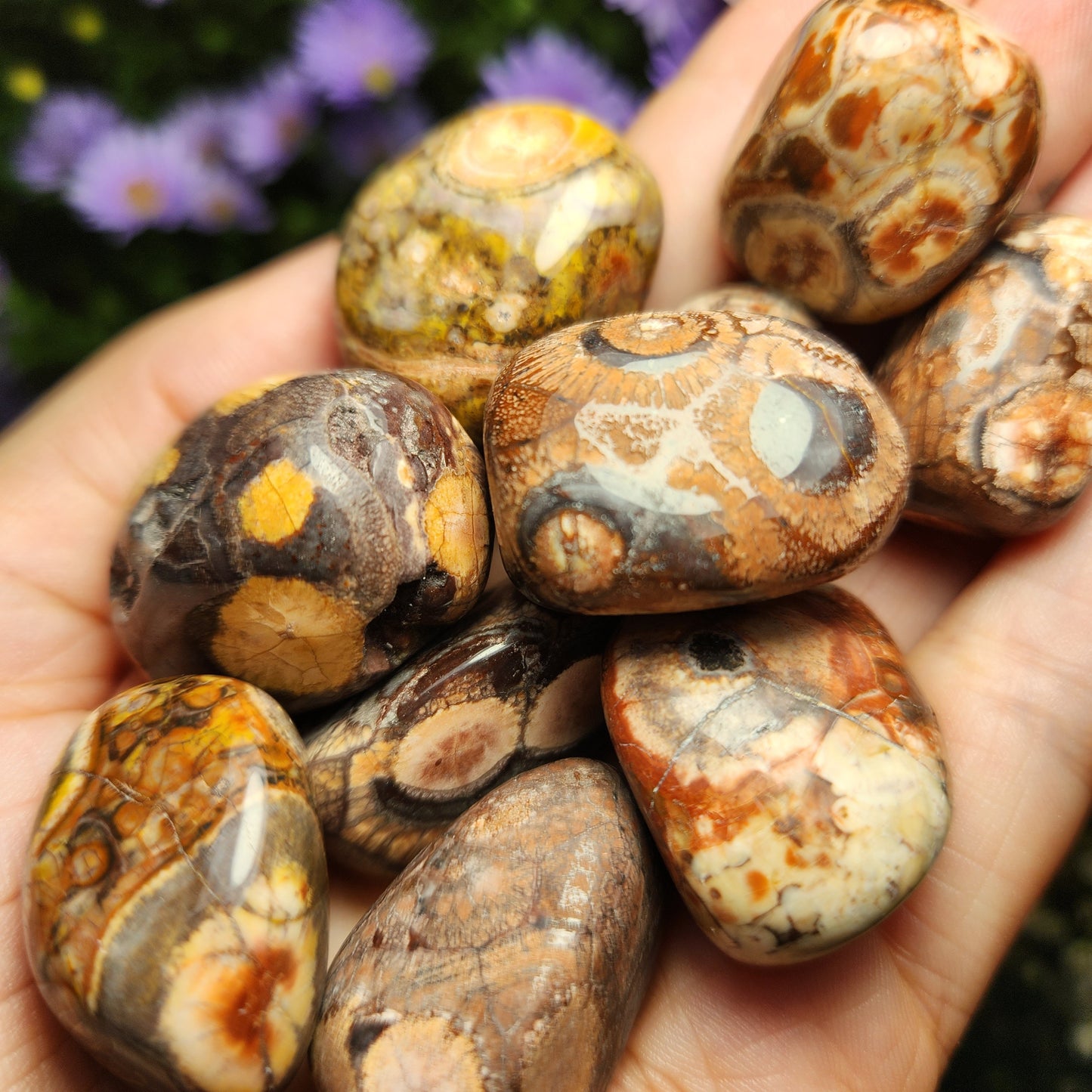 Amulet Stone
