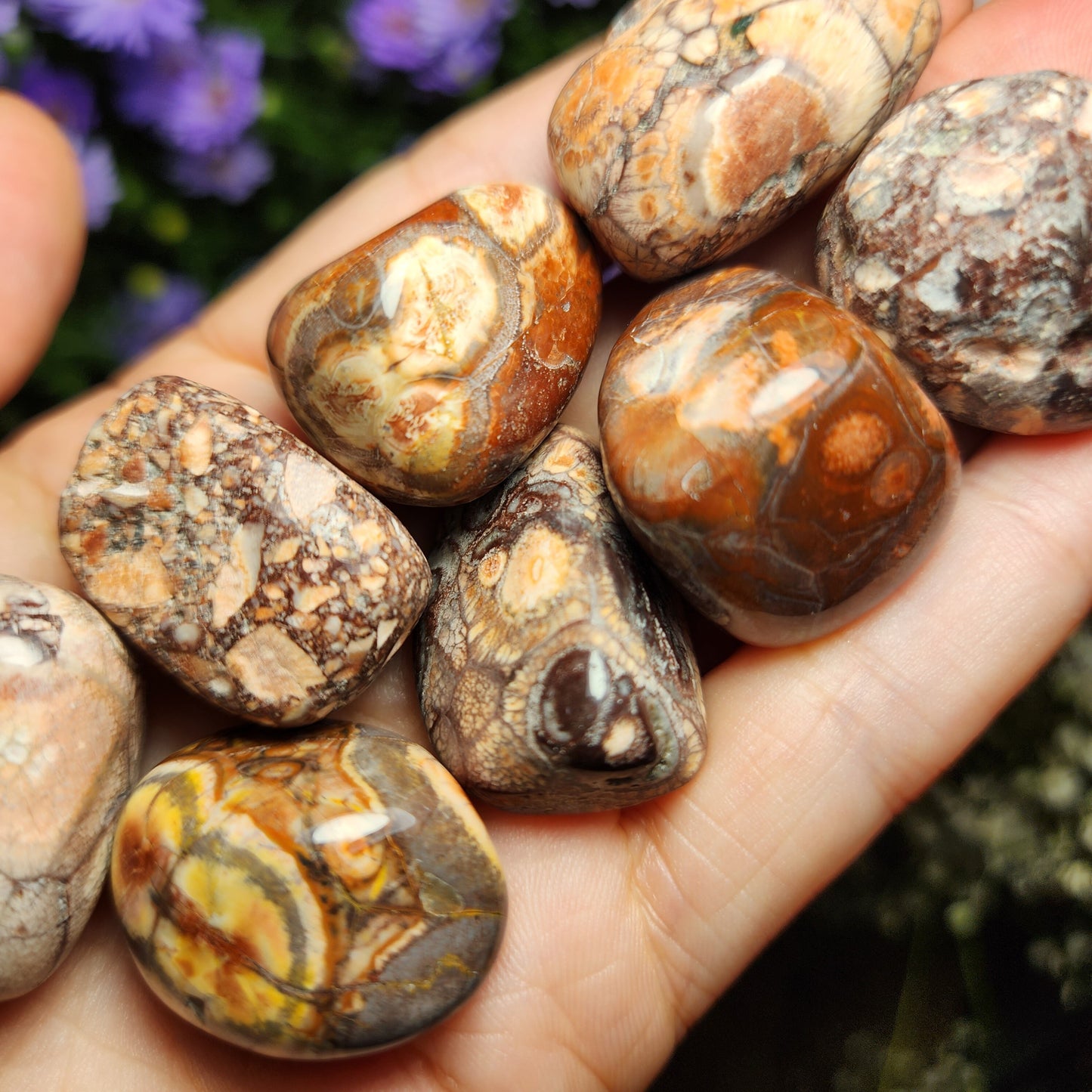 Amulet Stone