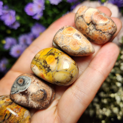 Amulet Stone