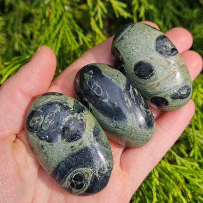 Kambaba Jasper Crystal
