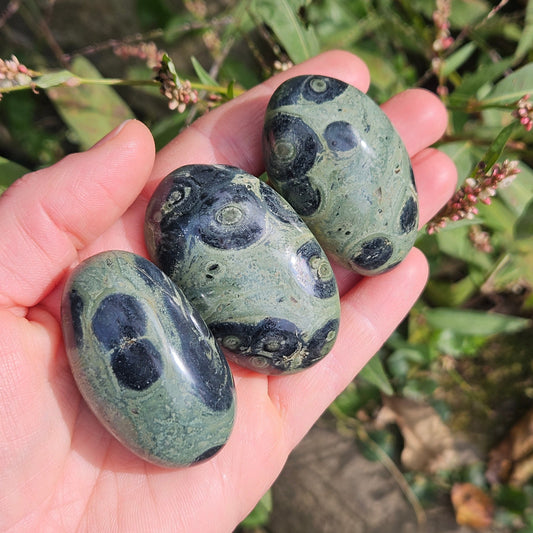 Kambaba Jasper Crystal