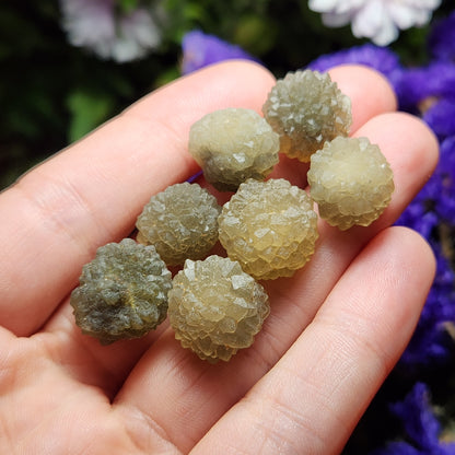 Star Chalcedony from Morocco