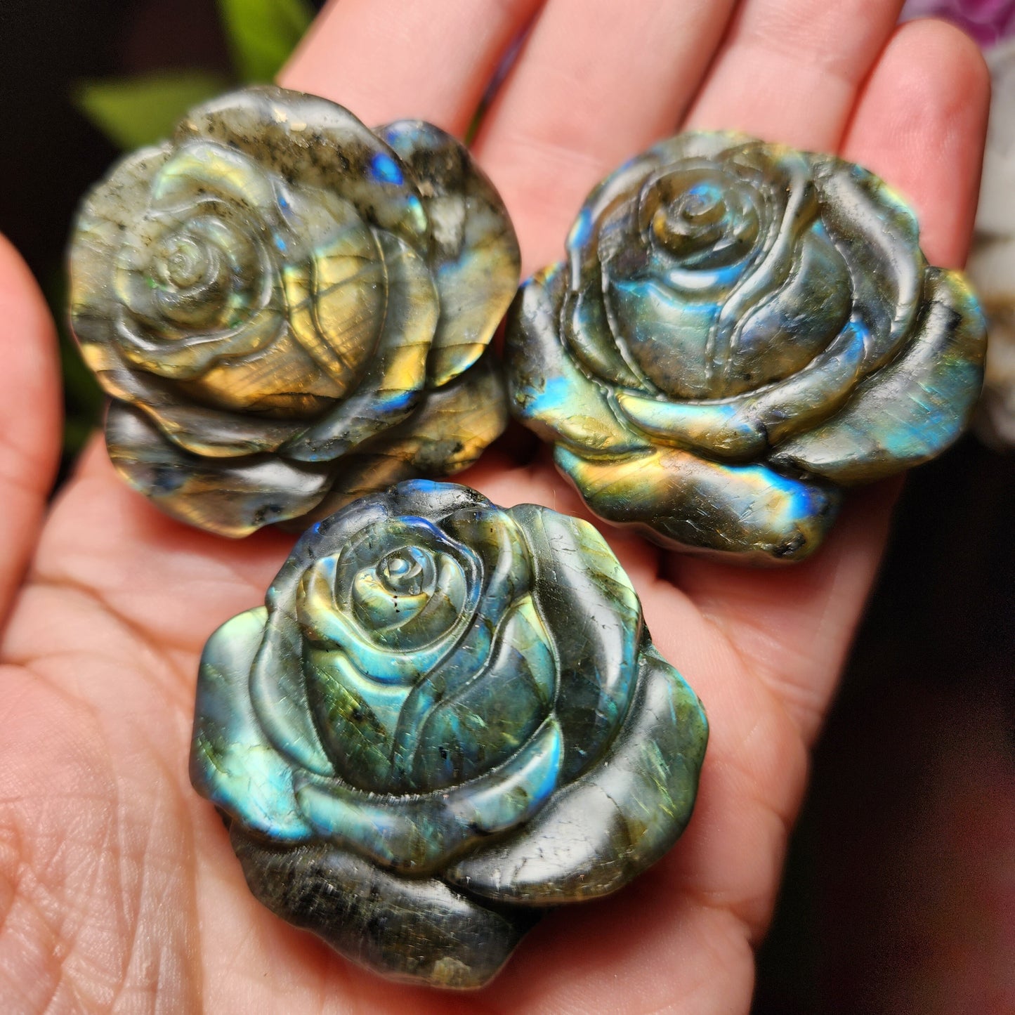 Labradorite Crystal Rose