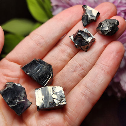 Shungite Crystal