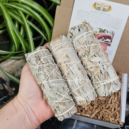 White Sage Bundle