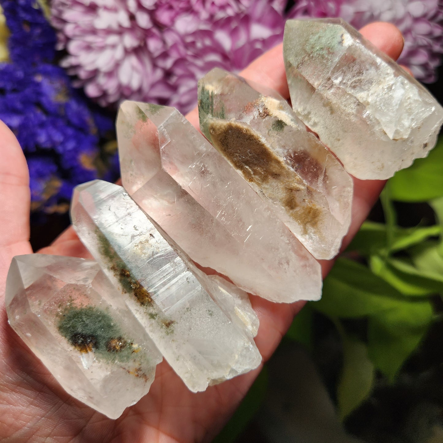 Chlorite in Quartz Crystal