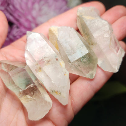 Chlorite in Quartz Crystal