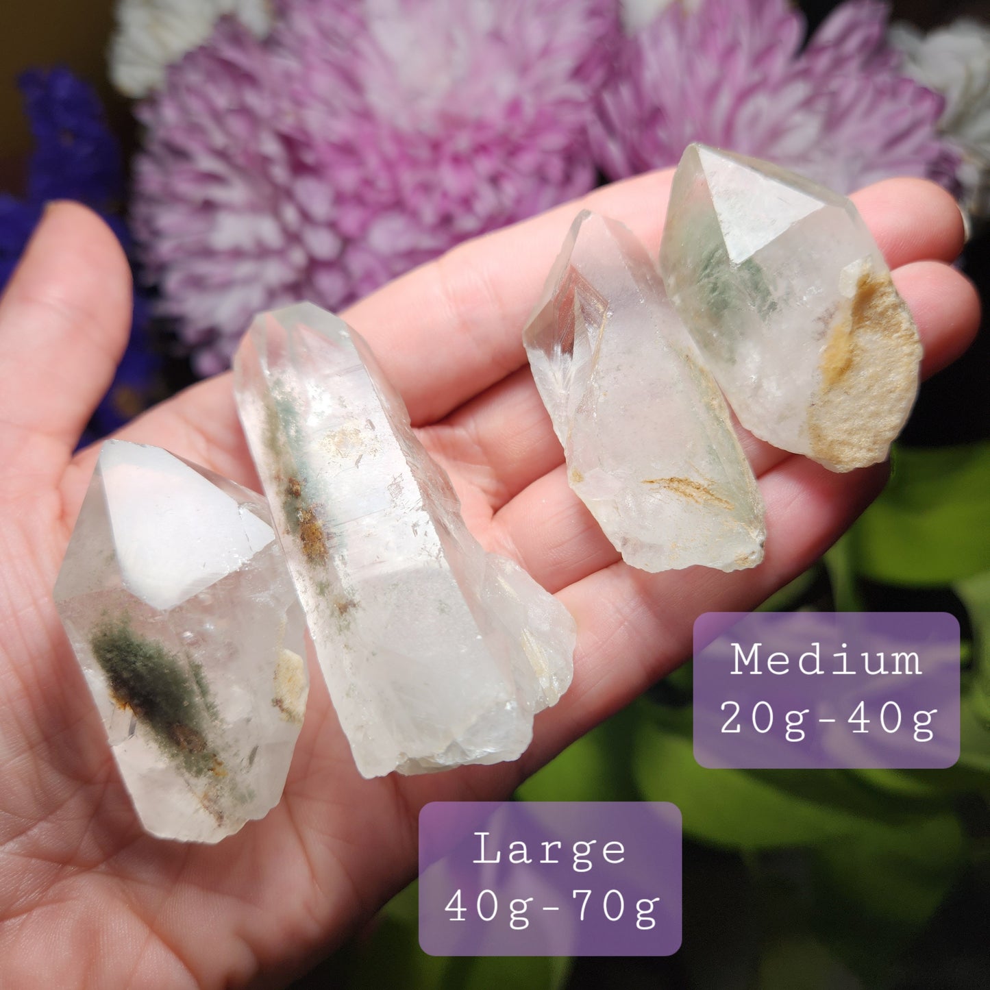 Chlorite in Quartz Crystal