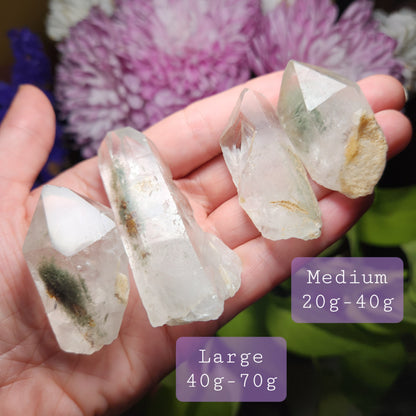 Chlorite in Quartz Crystal