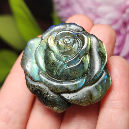 Labradorite Crystal Rose