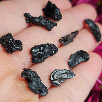 Irgizite Meteorite Specimen