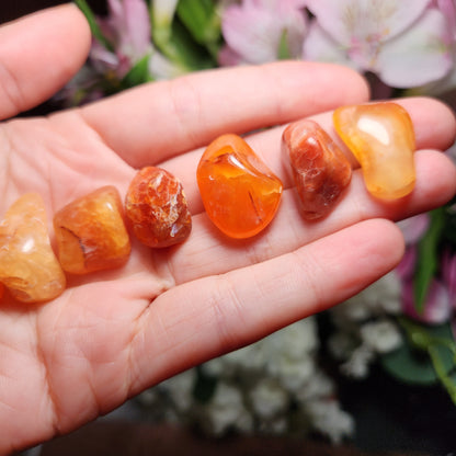 Malawi Carnelian Crystal