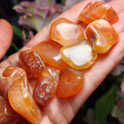 Malawi Carnelian Crystal